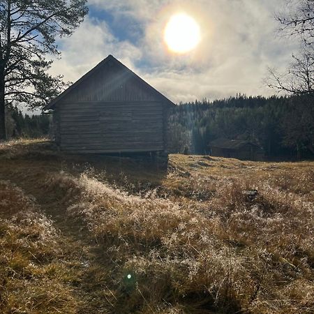 Villa Granhede -Sjoelaege Med Badtunna, Eldstad Med Mera Torsby Exterior foto