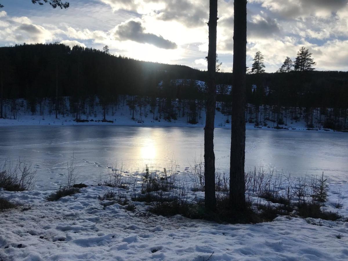Villa Granhede -Sjoelaege Med Badtunna, Eldstad Med Mera Torsby Exterior foto