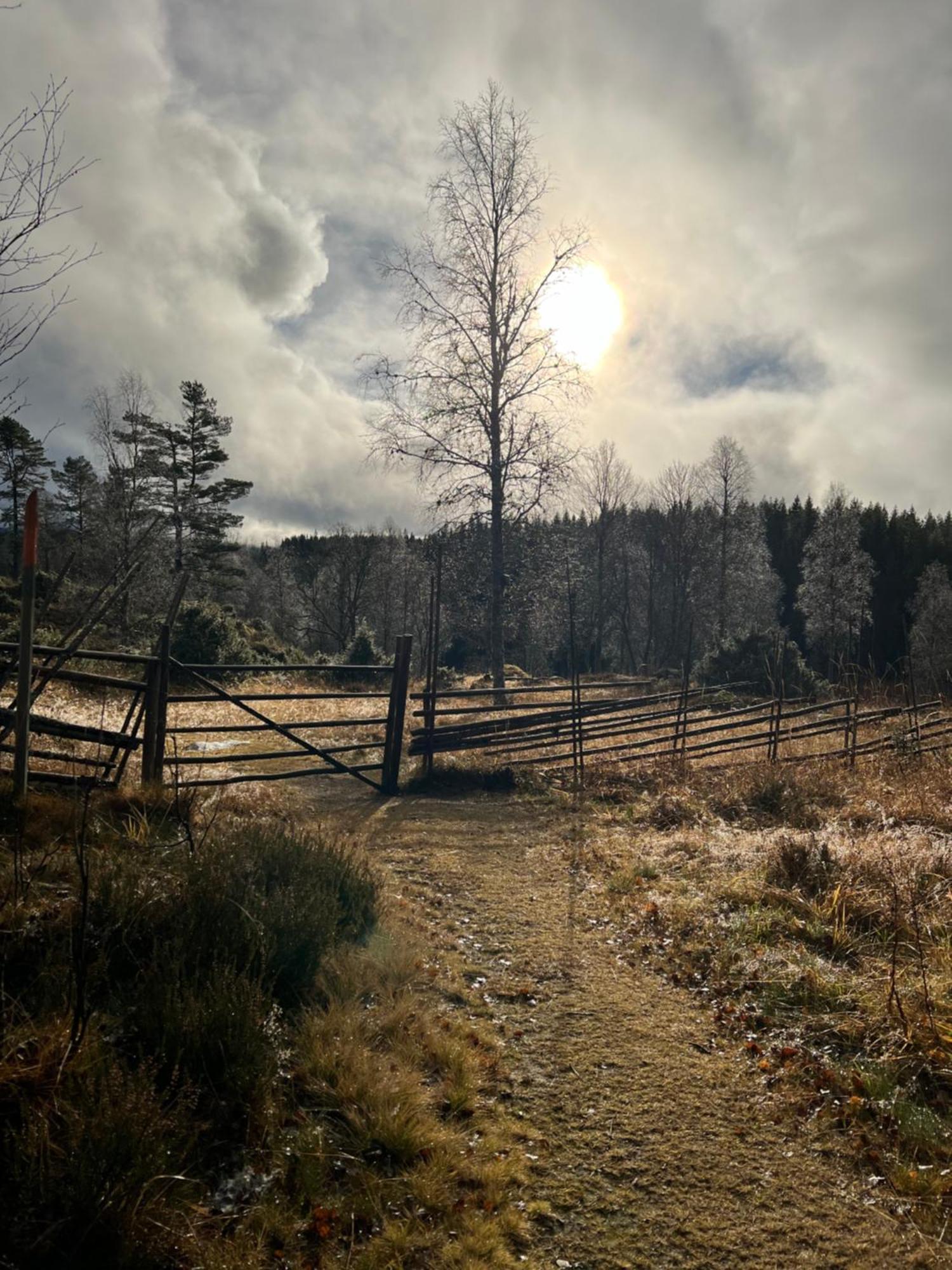 Villa Granhede -Sjoelaege Med Badtunna, Eldstad Med Mera Torsby Exterior foto